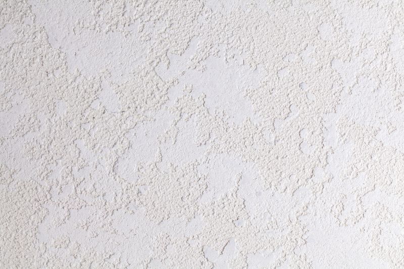 Stucco Ceiling Painting